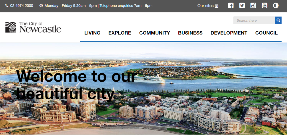 Newcastle City Council website