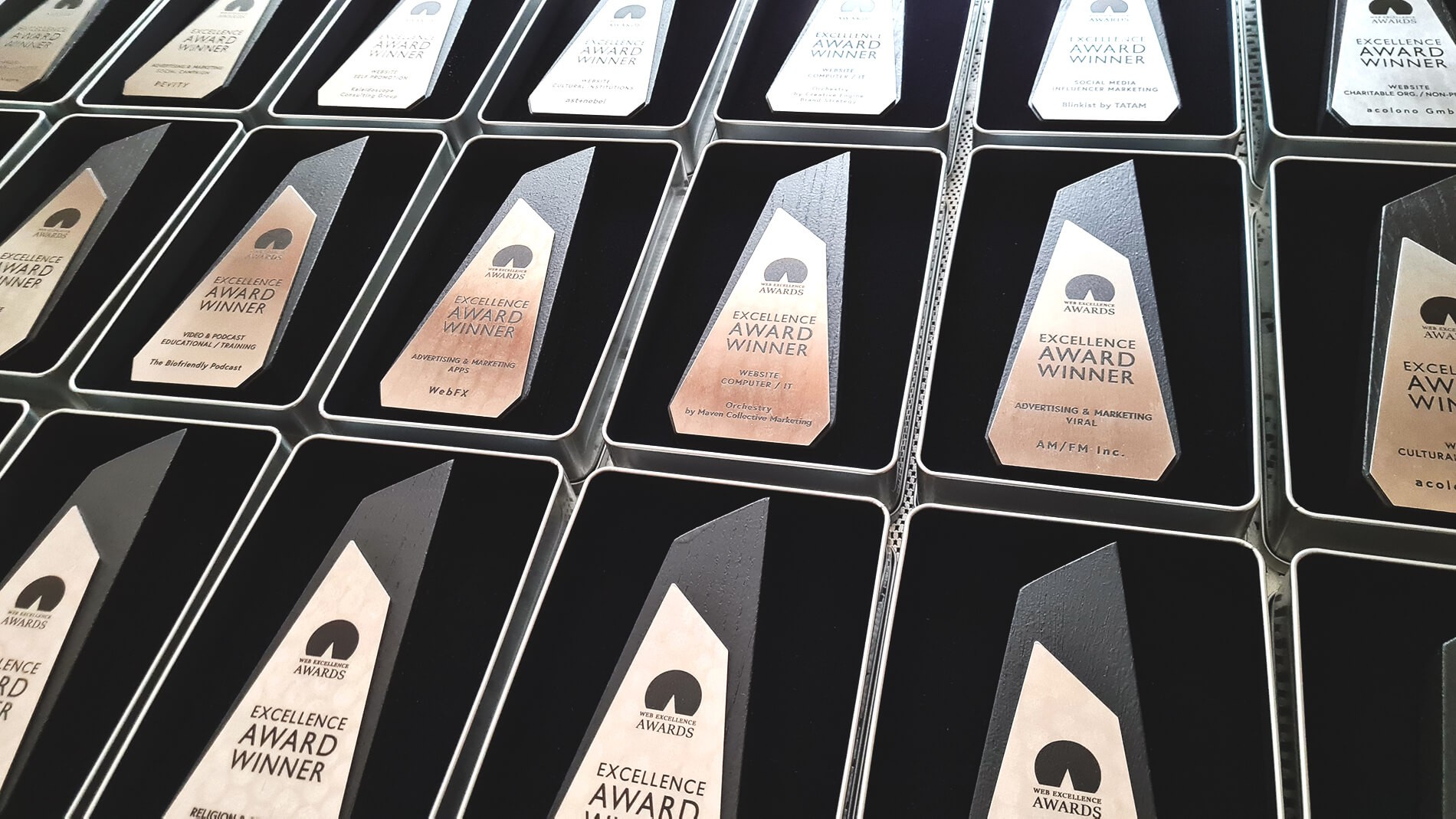 Civic Web Media Award